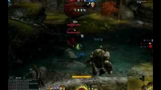 Guild Wars 2 Elementalist Scepterdagger