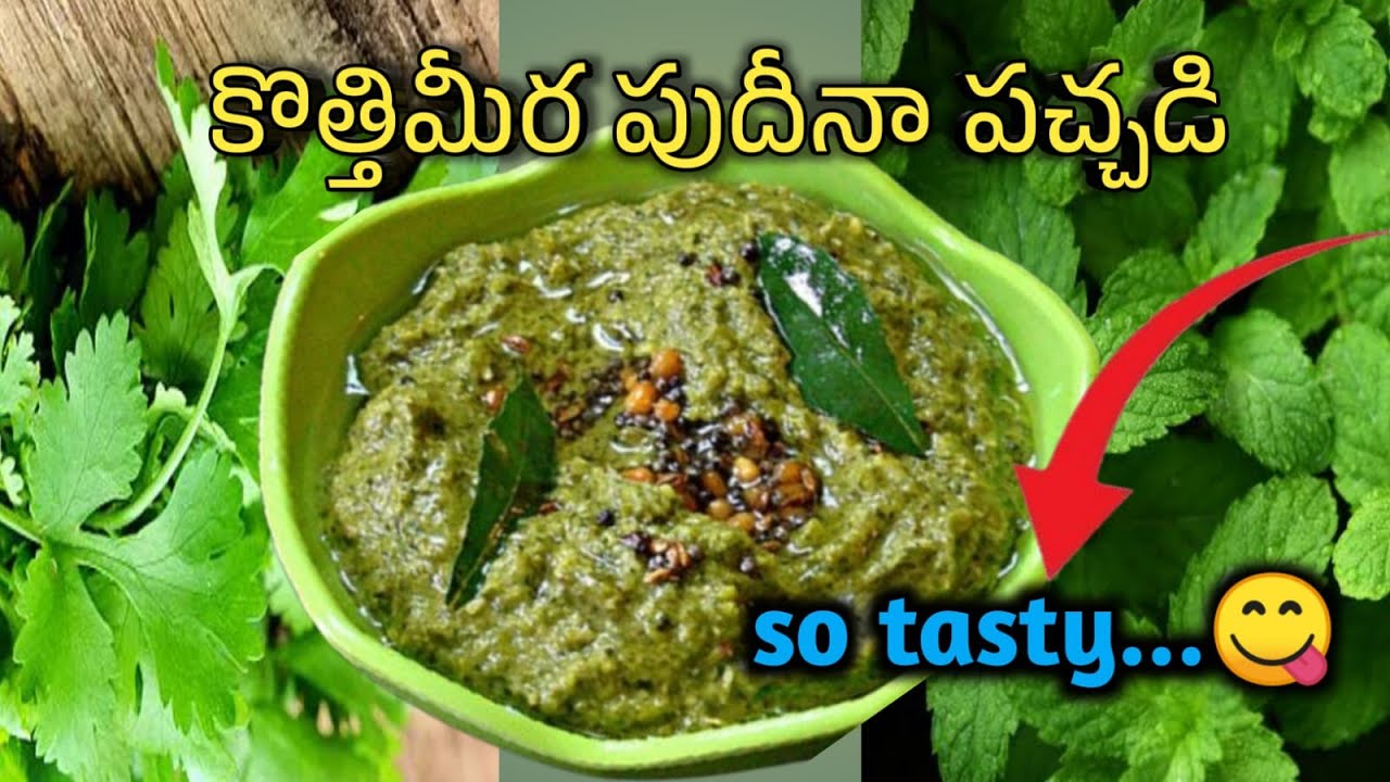 పుదీనా కోతిమీర పచ్చడి || Kumari cooking and beauty tips
