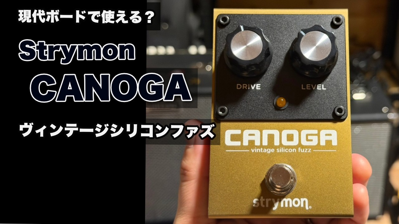 Checking out the Strymon CANOGA on my board! A vintage silicon