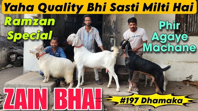 Berkovning samimiy surati