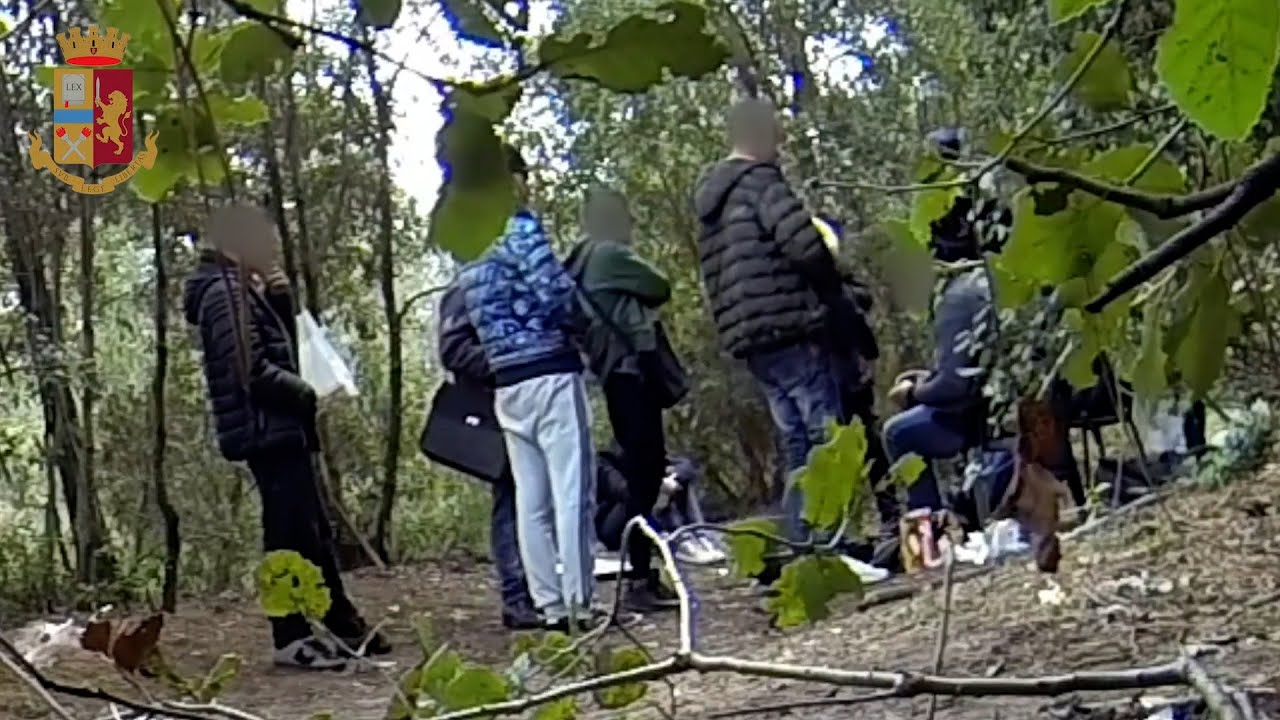 Blitz antidroga in pineta a Torre del Lago