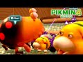 オッチン「横にクマさん?そんなバカn...」【ピクミン4】