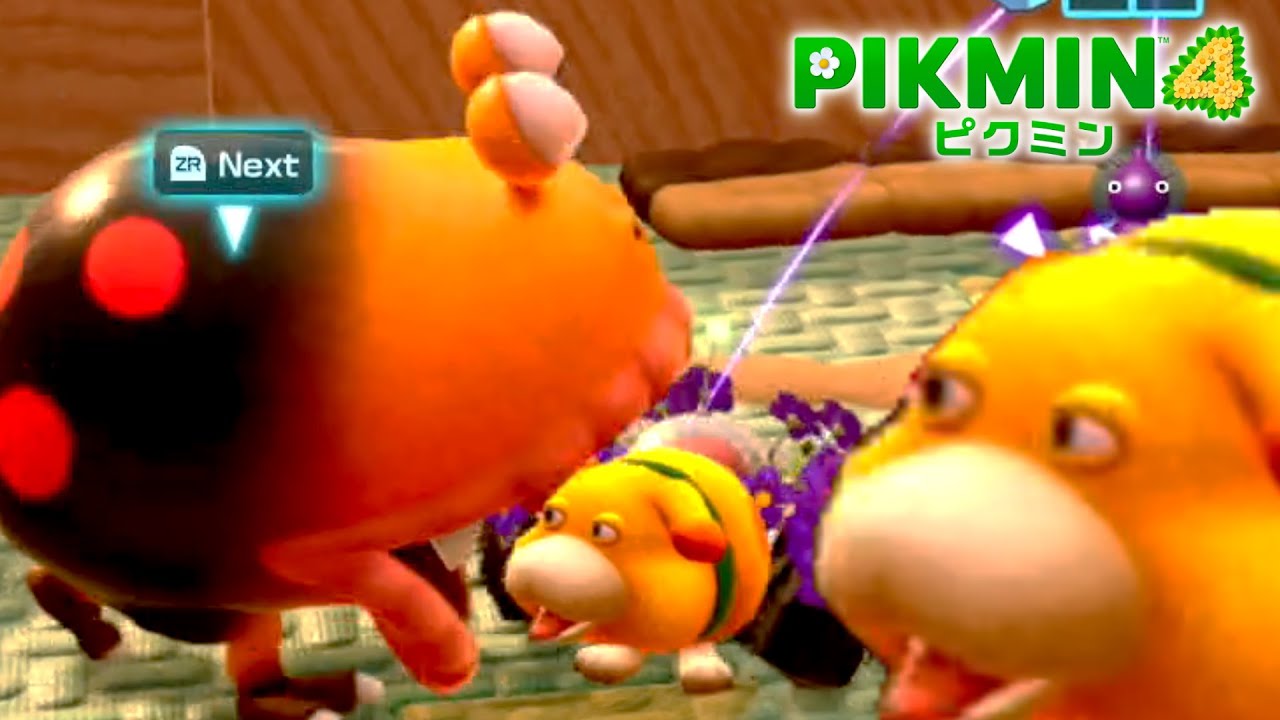 オッチン「横にクマさん?そんなバカn...」【ピクミン4】