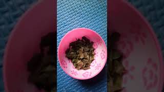 Simplecara Membuat Kopi Kawa Daun