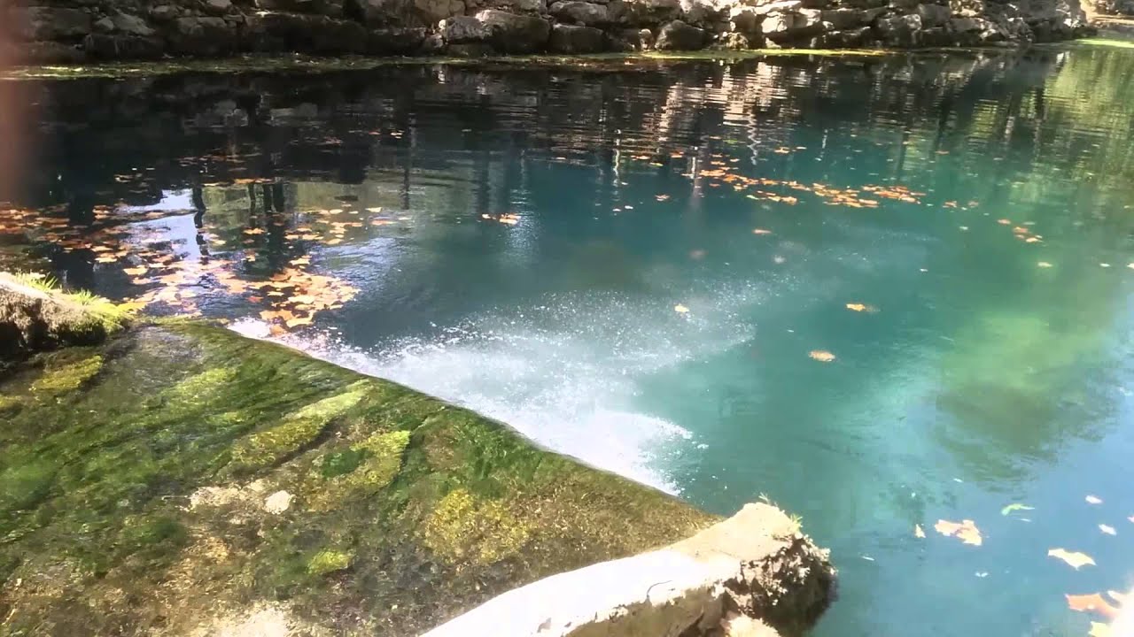 Blue Spring in Arkansas (Clear Water) YouTube