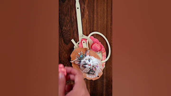 Video 9525451: perfect pet, pet lover, cat shaded