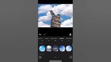 #Tutorial : change the background sky in 1 click #lightleap
