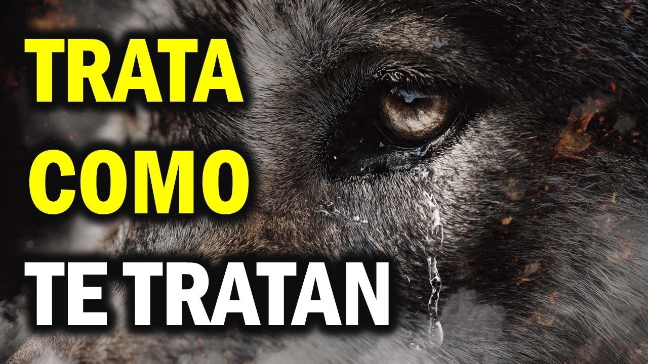 “TRATA COMO TE TRATAN: EL MENSAJE QUE ABRIRÁ TUS OJOS PARA SIEMPRE 💔💭”