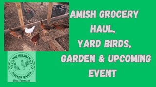 AMISH GROCERY HAUL, YARD BIRDS, GARDEN & UPCOMING EVENT! #amishgroceryhaul, #Garden #yardbirds