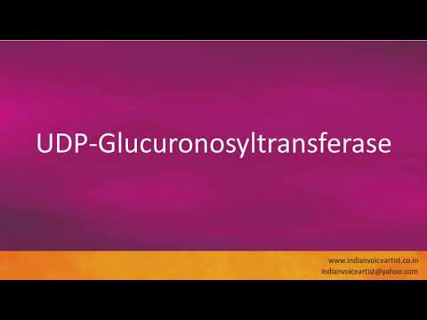 Pronunciation of the word(s) "UDP-Glucuronosyltransferase".