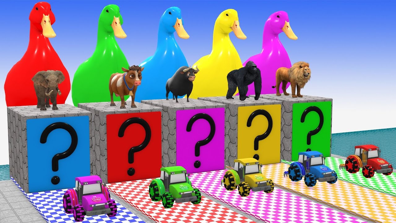 Long Slide Game With Cow Elephant Gorilla Hippopotamus Tiger   3d Animal Game   Funny 3d Animals3