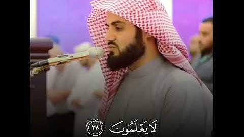 سورة النحل قارئ رعد الكردي