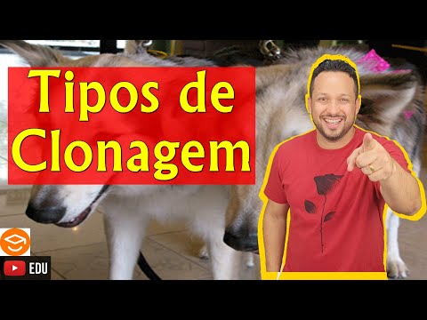 Tipos de Clonagem - Clonagem Reprodutiva e Clonagem Terapêutica - Clonagem - Biotecnologia