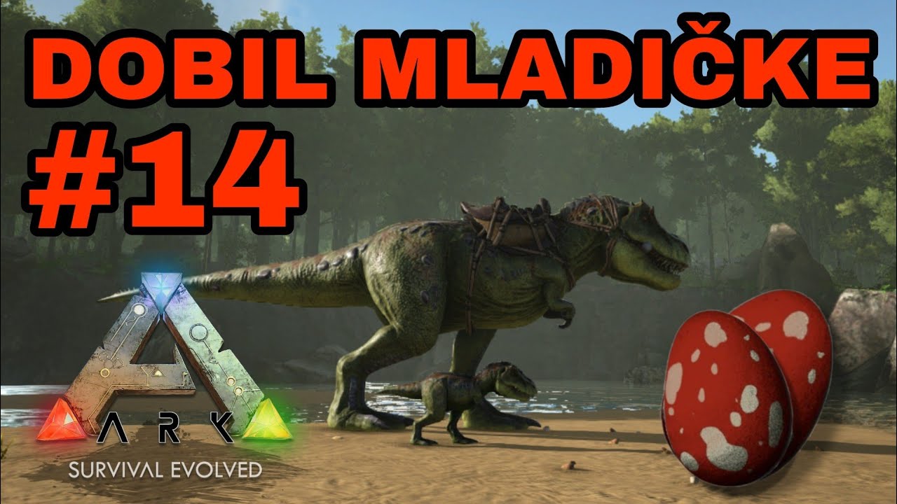 Dobili smo mladičke / #14 ARK [SLO]