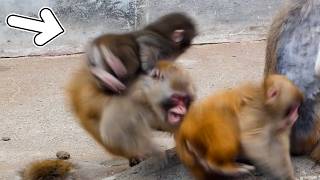 Monkey Punch Gets Rammed and Sent Flying