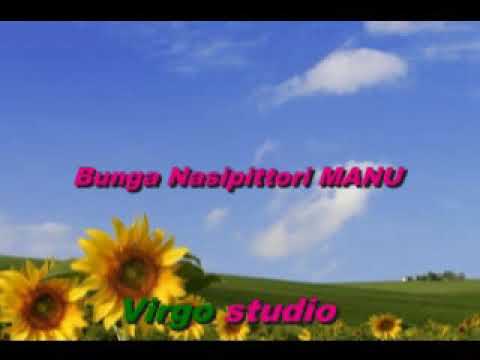 Bunga nasipittori Manu