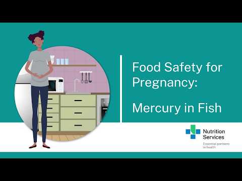 Barramundi Mercury Pregnancy