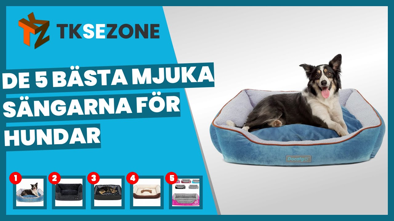De 5 bästa mjuka sängarna för hundar