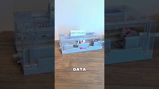 Esta Gata Se Esforzó Para Alegrar Al Niño