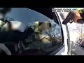 Cop Clings To Fleeing Vehicle, Fatally Shoots Suspect Who Refuses To Stop