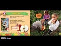 Understanding Fall: A Seasonal Quiz