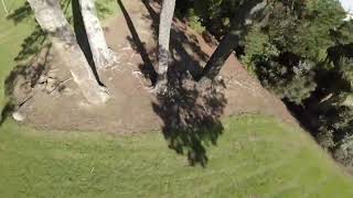 Highland Park FPV 1