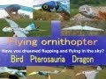 Flying Ornithopter Bird Pterosauria Dragon