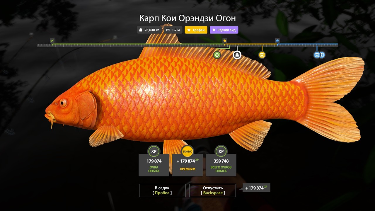 Проверка фарма серебра в повышку на Медном. Русская рыбалка 4. РР 4.