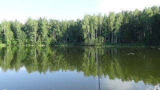 видео Семейный отдых в Тверской области - сказка на природе