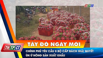 Chính phủ yêu cầu 8 Bộ cấp bách giải quyết ùn ứ nông sản xuất khẩu | Cần Thơ TV