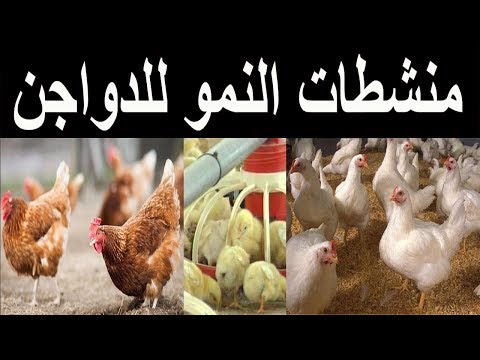 فيديو: منشطات النمو الشعبية