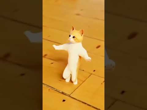 Cat Dance 😺 #shortvideo #ytshorts #tom #yt #baby