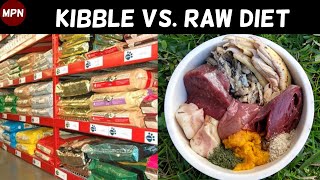 Kibble Vs Raw Dog Diet | What is Best For My Min Pin?