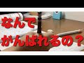 【勉強モチベーション】このマインドで勉強すればまじで頑張れます