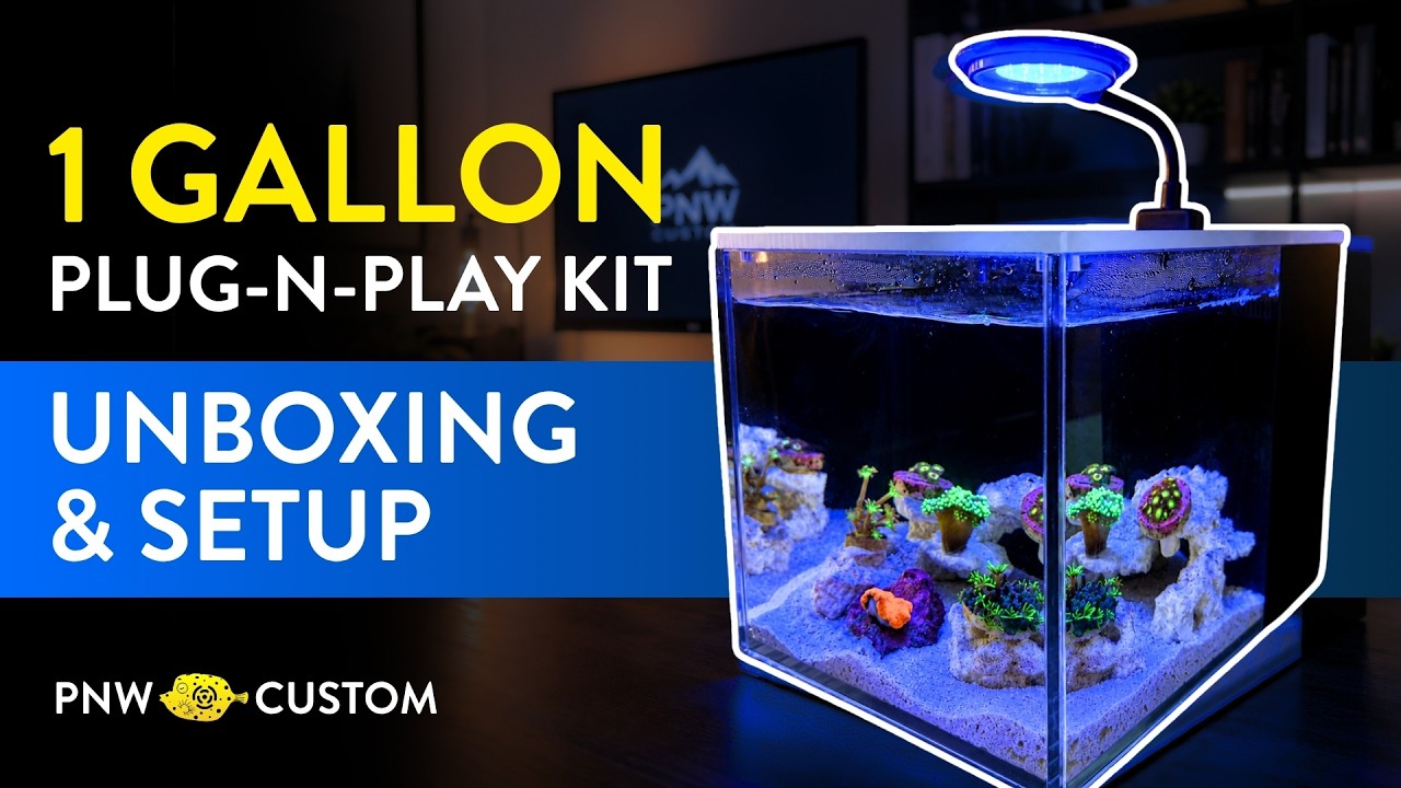 1 Gallon Saltwater Aquarium Plug-N-Play Kit (Full Step-by-Step Guide)