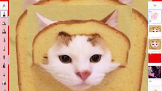 Cat Bread Dance Using Sketchbook