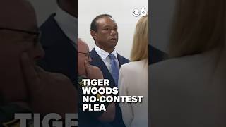Tiger Woods enters no-contest plea in DUI crash, license suspended 5 years