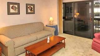 2413 Bayshore Boulevard #803 Tampa FL 33629