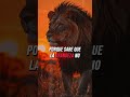 Reflexión: El corazón del León #EspirituSalvaje #reflexiónmotivacional #reflexiones