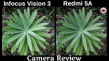 Xiaomi Redmi 5A VS Infocus Vision 3_Camera Comparison, Camera Review, Camera Test,Camera Battle