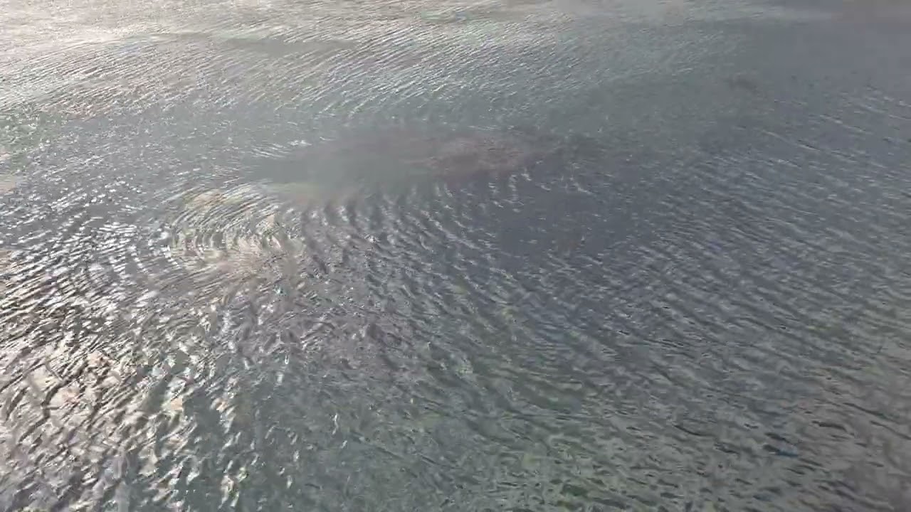 동네 한바퀴 #산책 