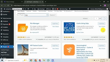 Cómo habilitar la compresión Gzip en Hostinger