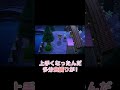 虫捕りが上手くいきすぎてる日【あつ森】