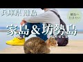 家島・坊勢島を日帰りで旅する（兵庫/関西/観光/離島）