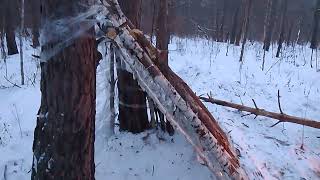 CONSTRUCTION OF THE FIRST HOUSE USING BUSHCRAFT TECHNOLOGY IN THE WINTER FOREST  / #Solocamping