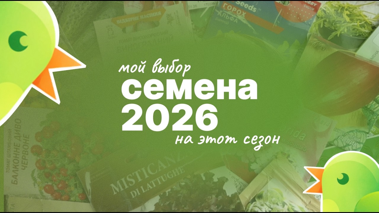 Что сажать в 2026? Какие семена я выбрала, проверенные и новые
