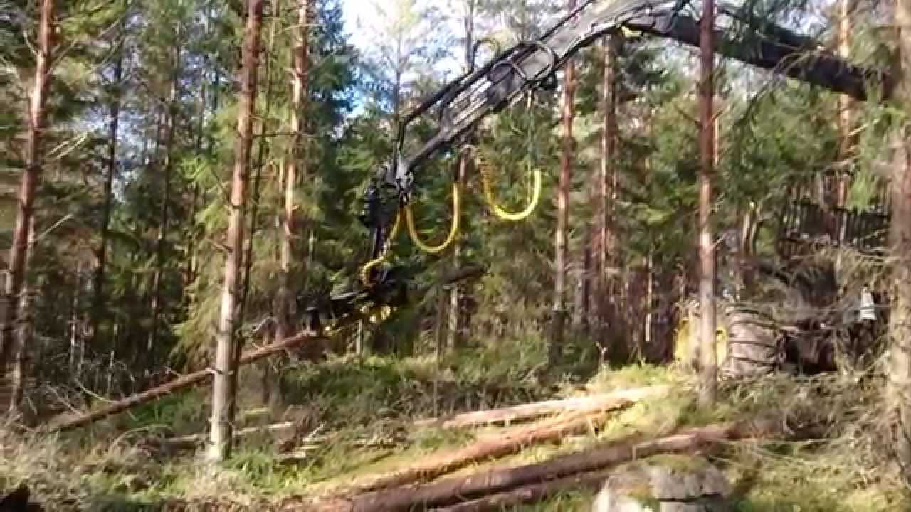 Timberjack 1010B + Arbro 400S Stroke Harvester
