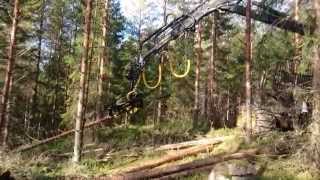 Download Lagu Timberjack 1010B + Arbro 400S Stroke Harvester MP3