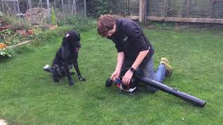 Dog Starting Petrol Blower Vacuum - Sherpa Tools STBV3405 - Easy Starting by Sherpa Tools 2,240 views 6 years ago 37 seconds