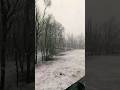 Kashmir Snow Fall Today || Heavy Snow Fall In Kashmir